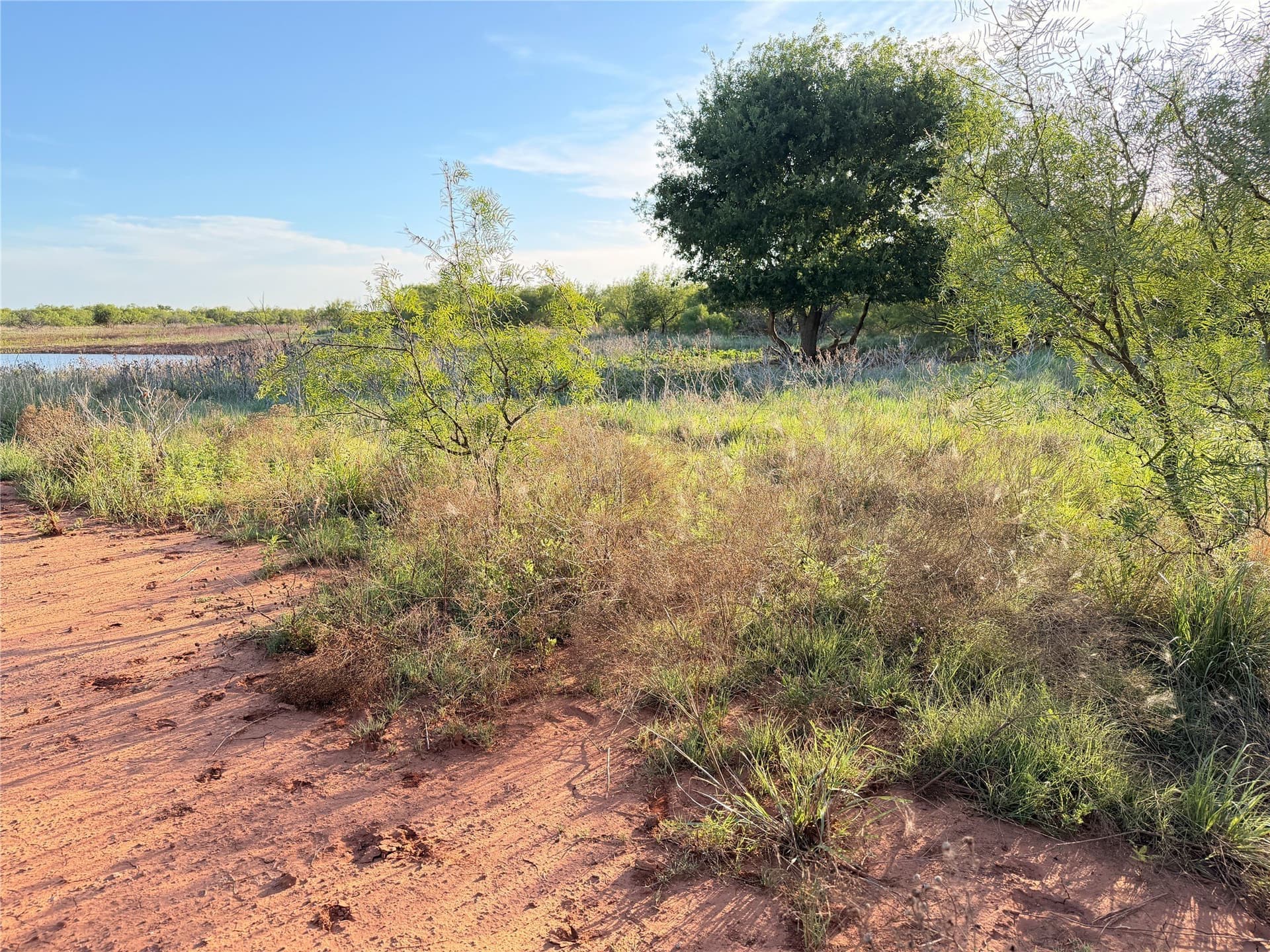 320 acres in Hardeman County - photo 18