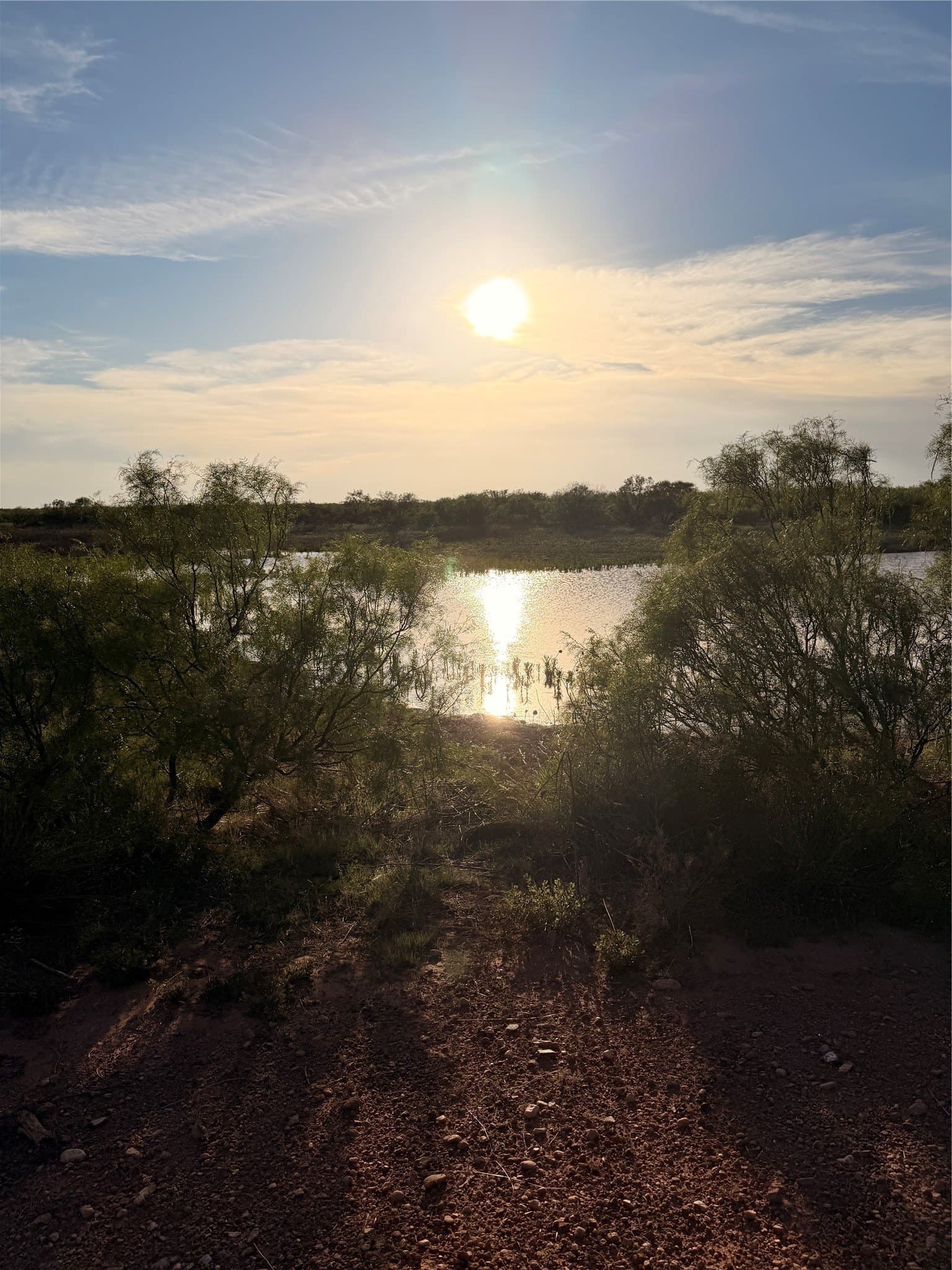 320 acres in Hardeman County - photo 11