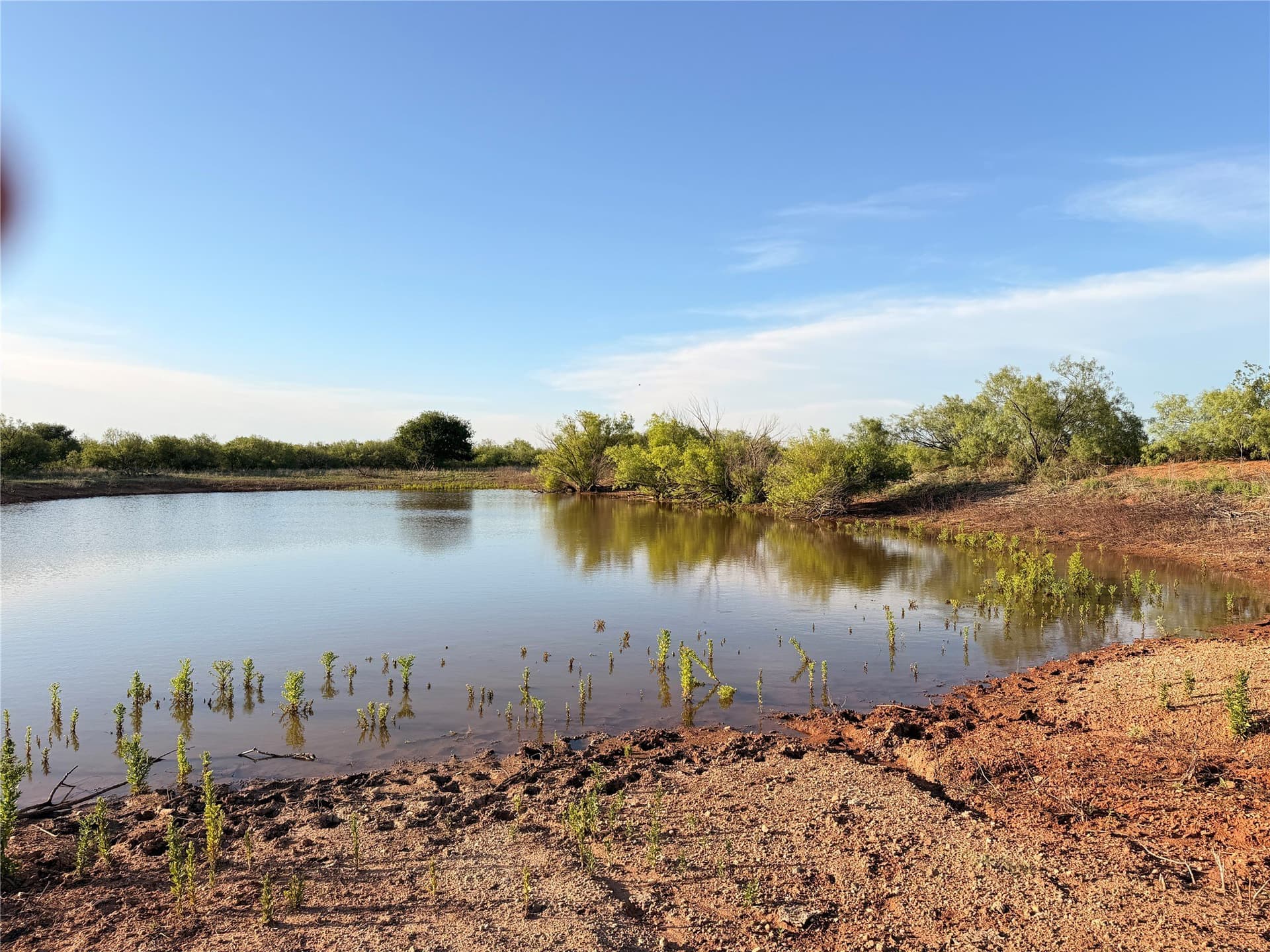 320 acres in Hardeman County - photo 22