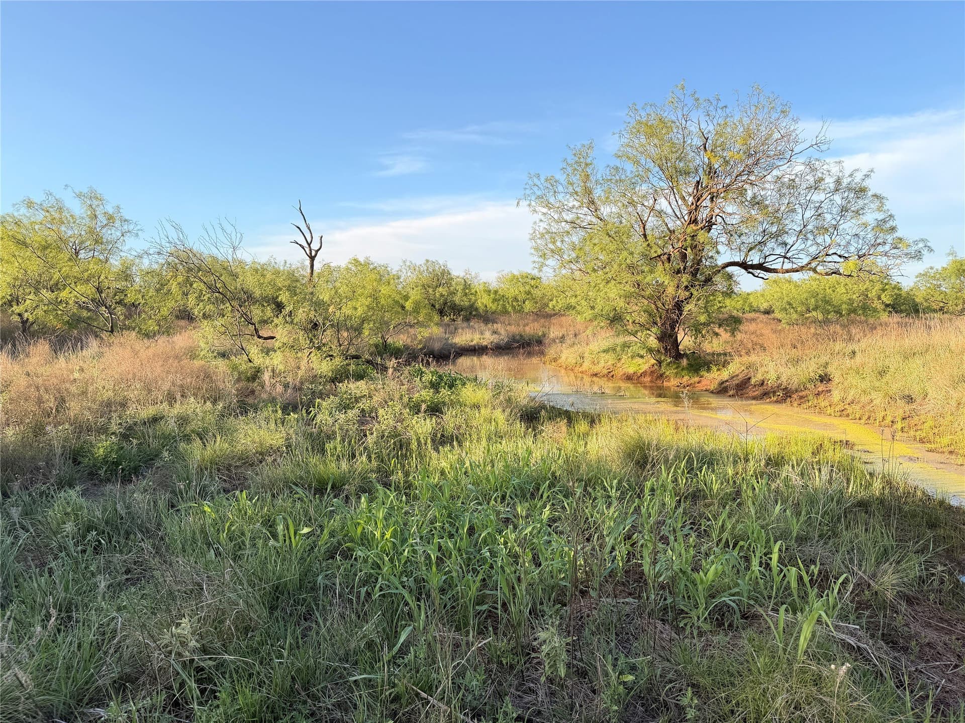 320 acres in Hardeman County - photo 17