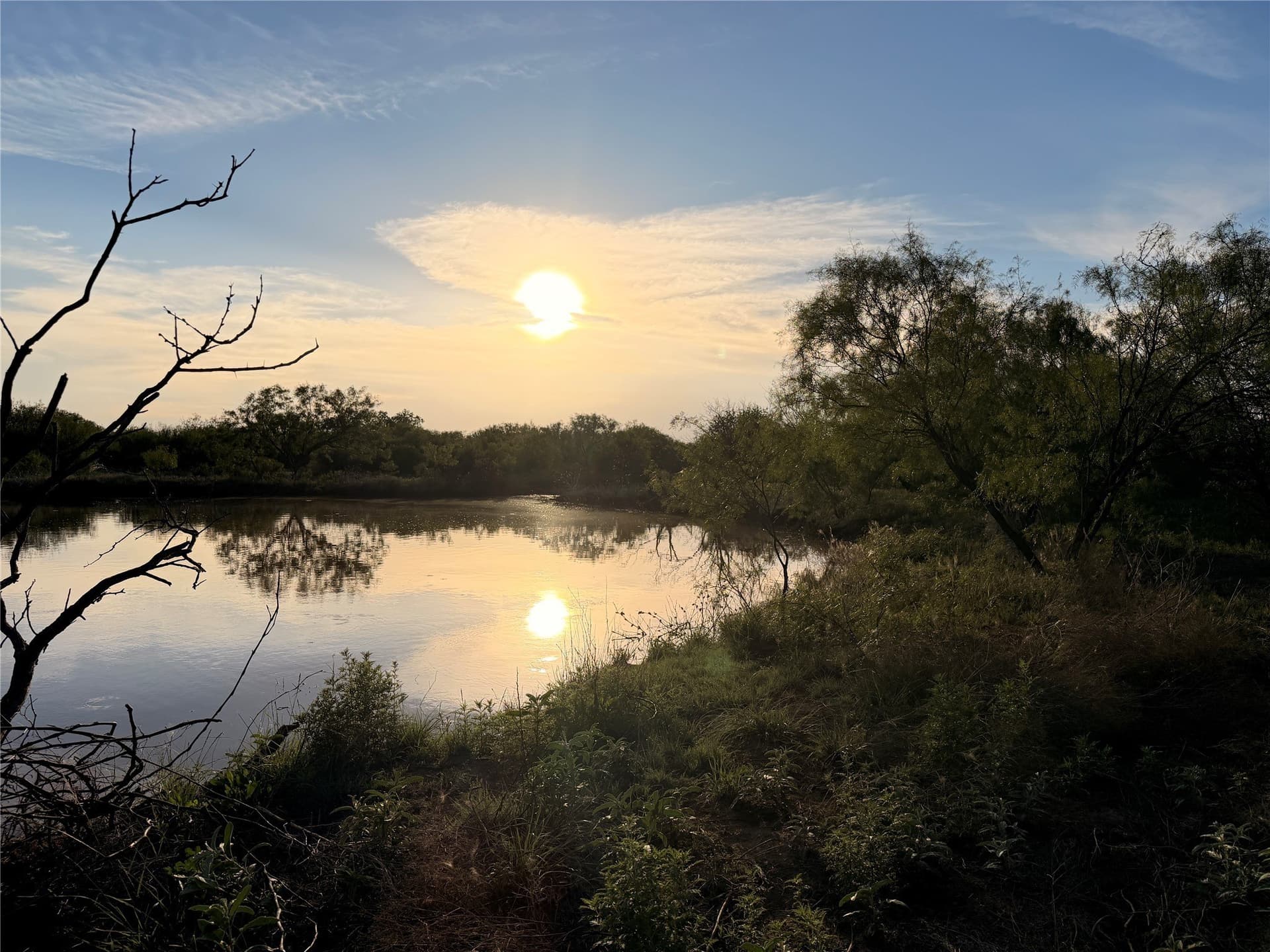 320 acres in Hardeman County gallery image 3