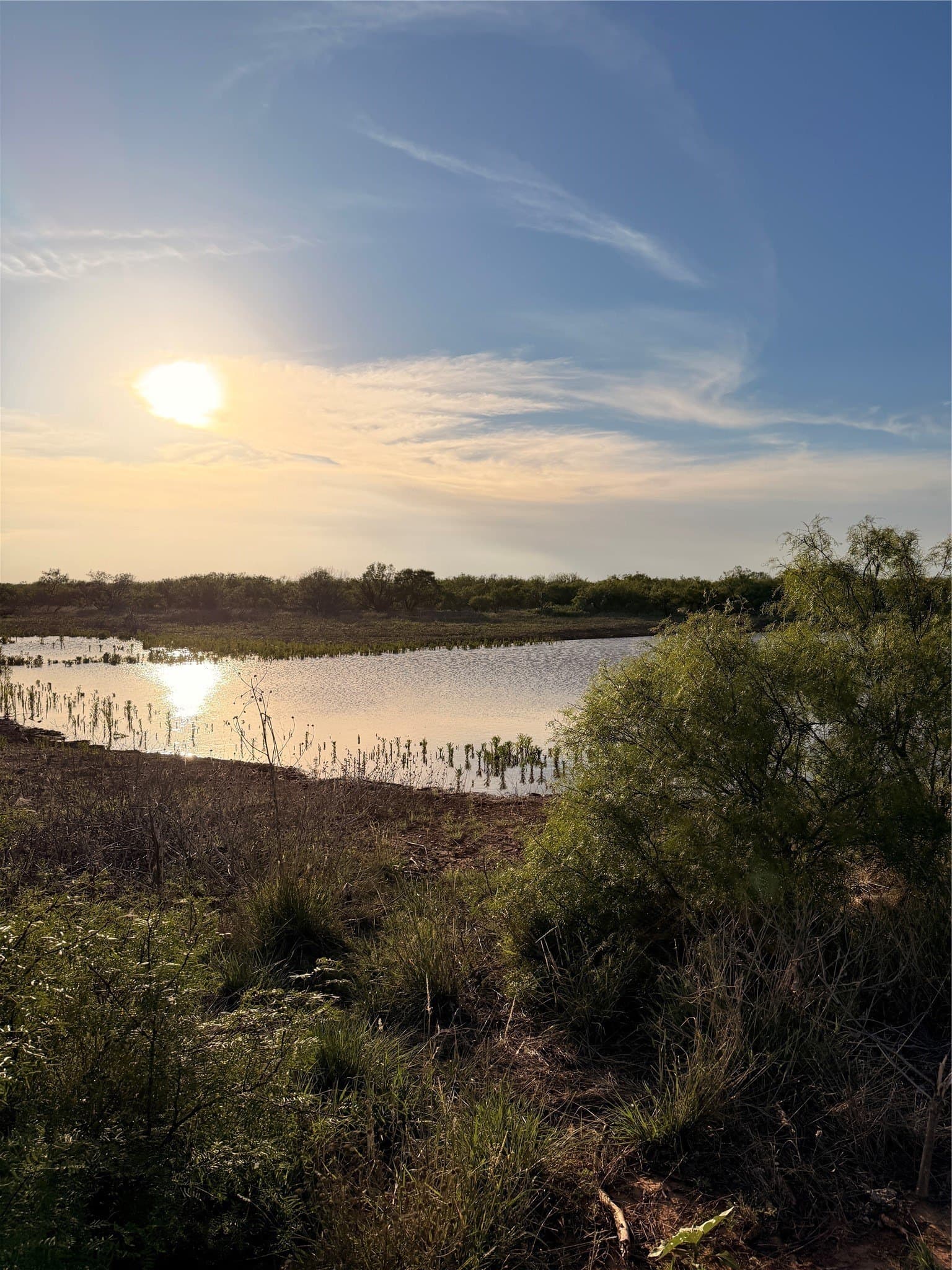320 acres in Hardeman County - photo 10