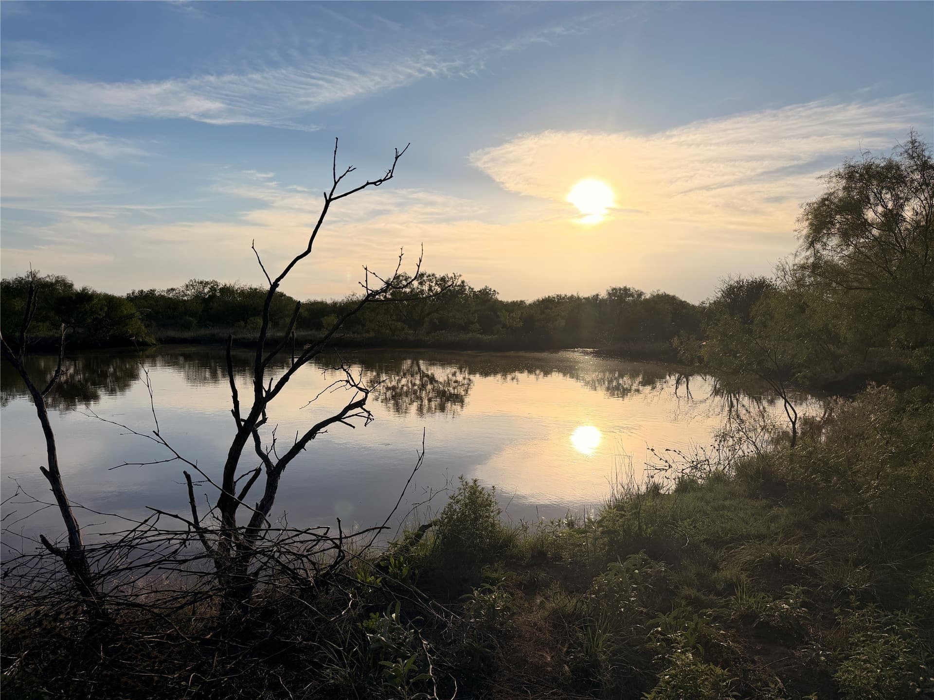 320 acres in Hardeman County featured view