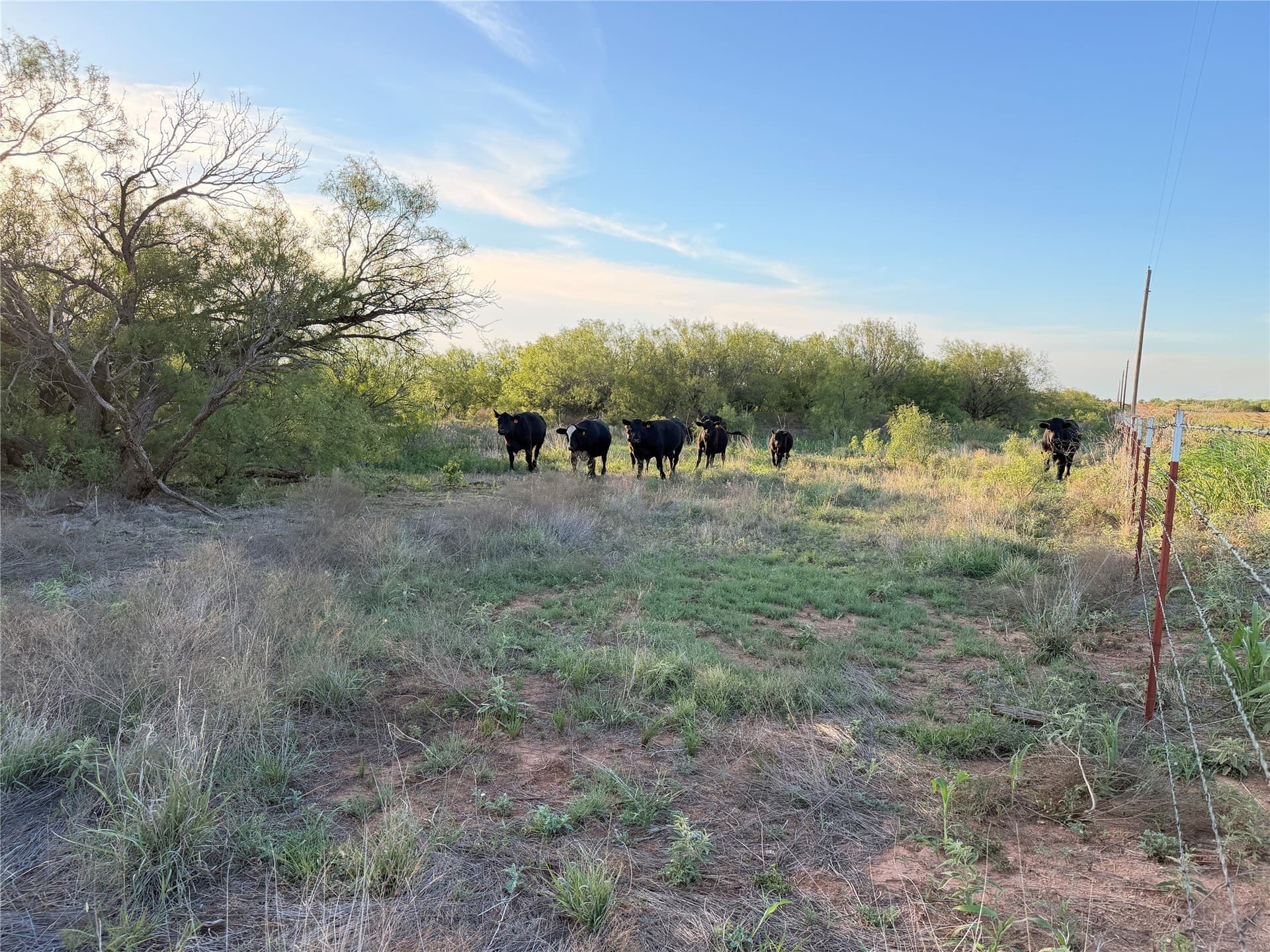 320 acres in Hardeman County - photo 8