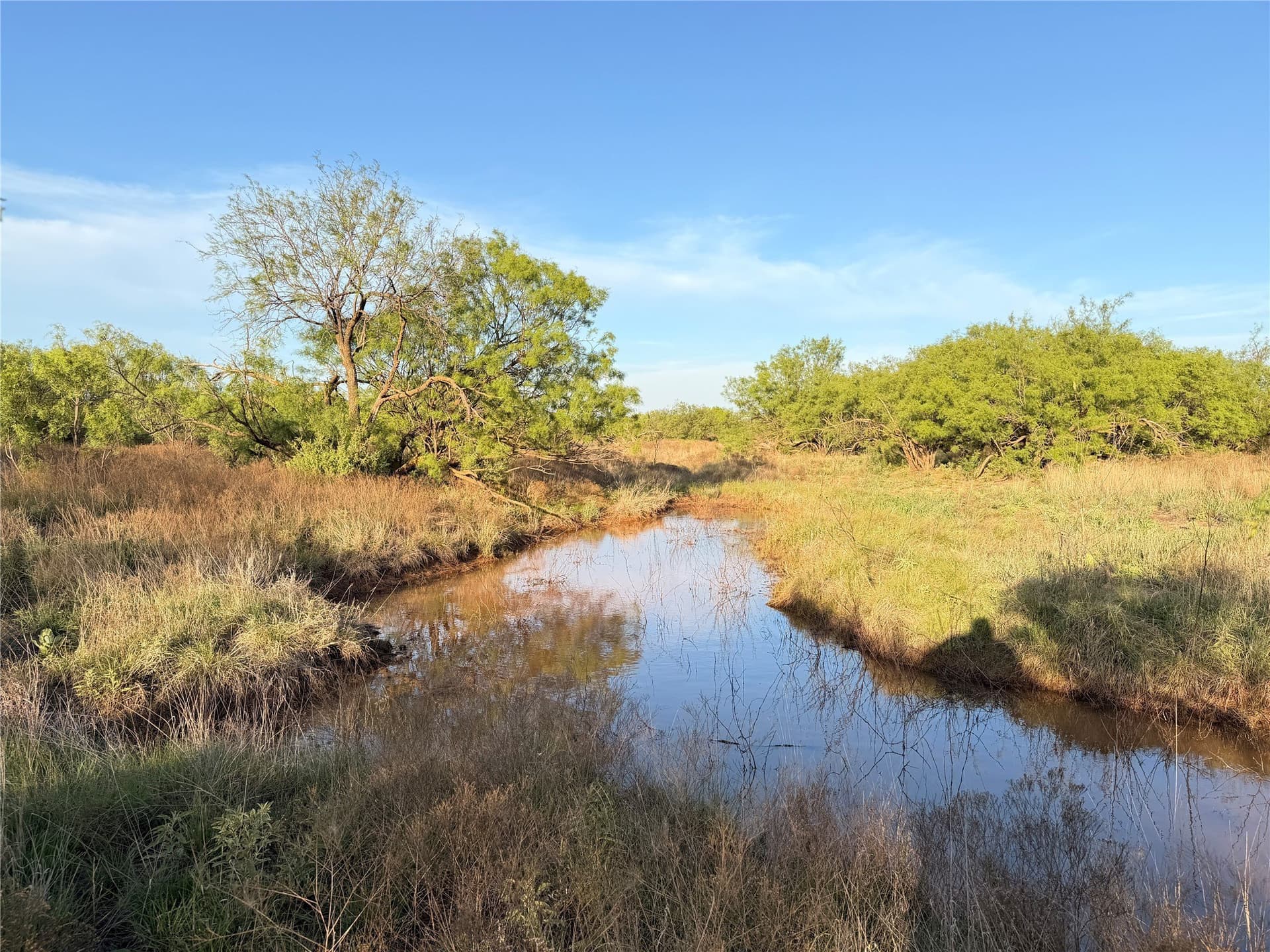 320 acres in Hardeman County - photo 16
