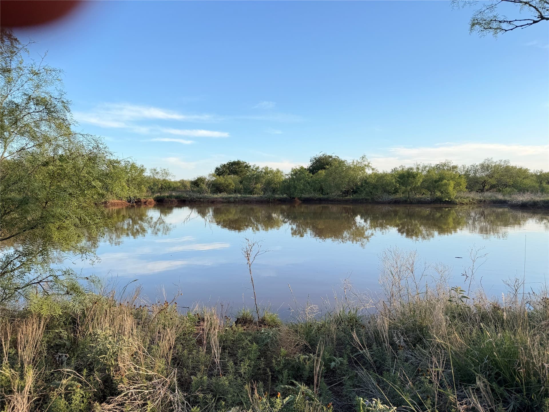 320 acres in Hardeman County - photo 7