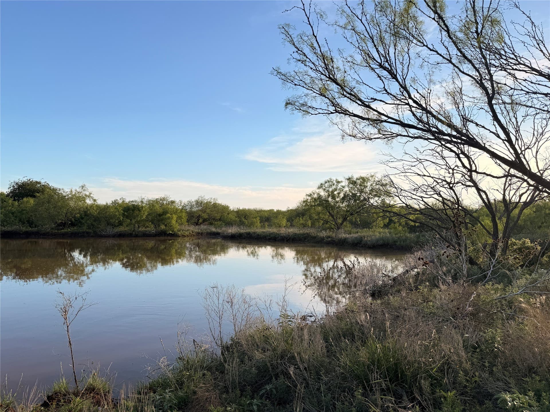 320 acres in Hardeman County gallery image 2