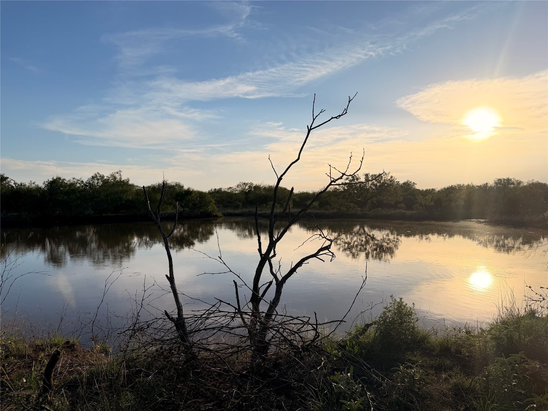 320 acres in Hardeman County gallery image 4