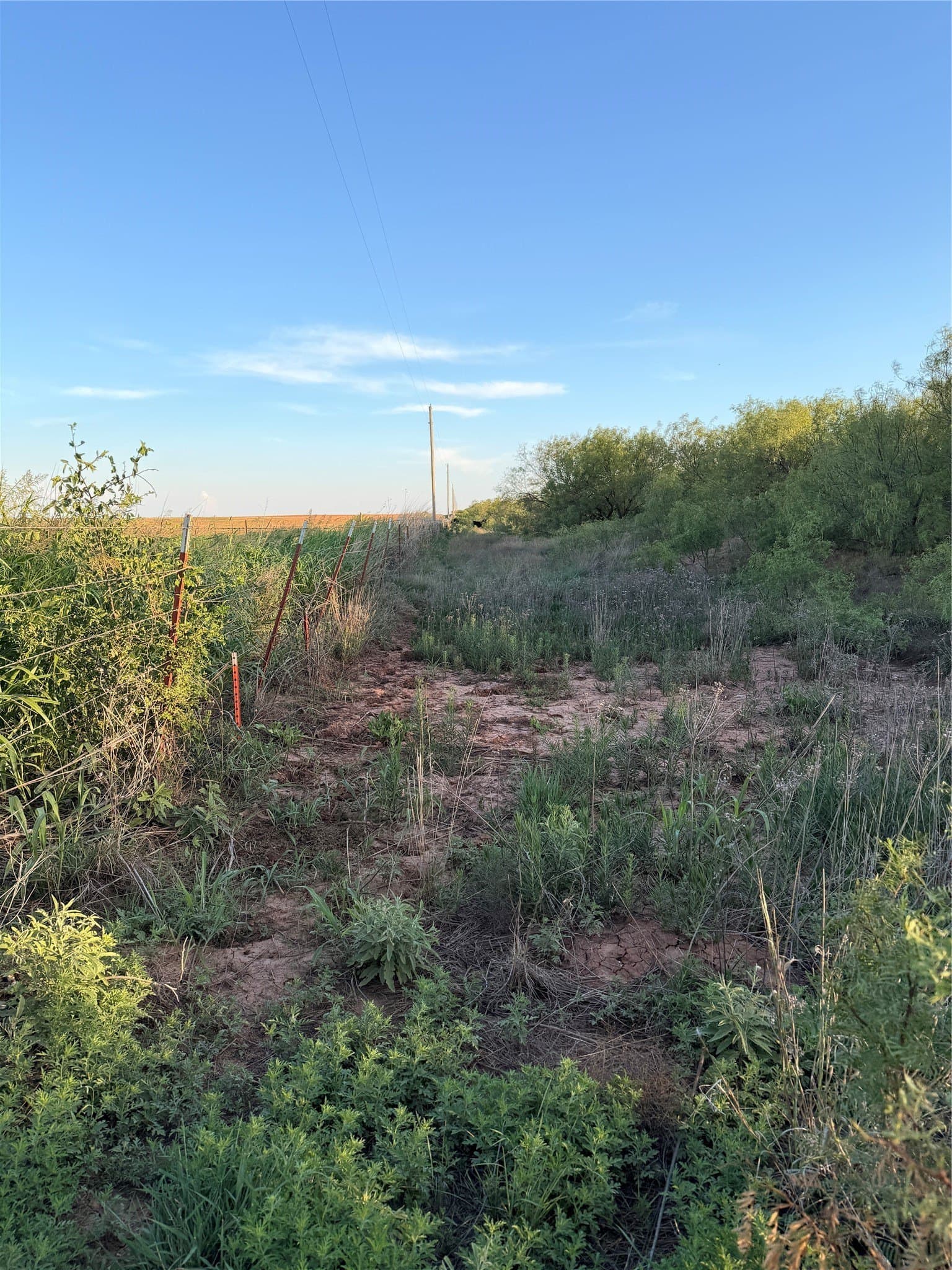 320 acres in Hardeman County