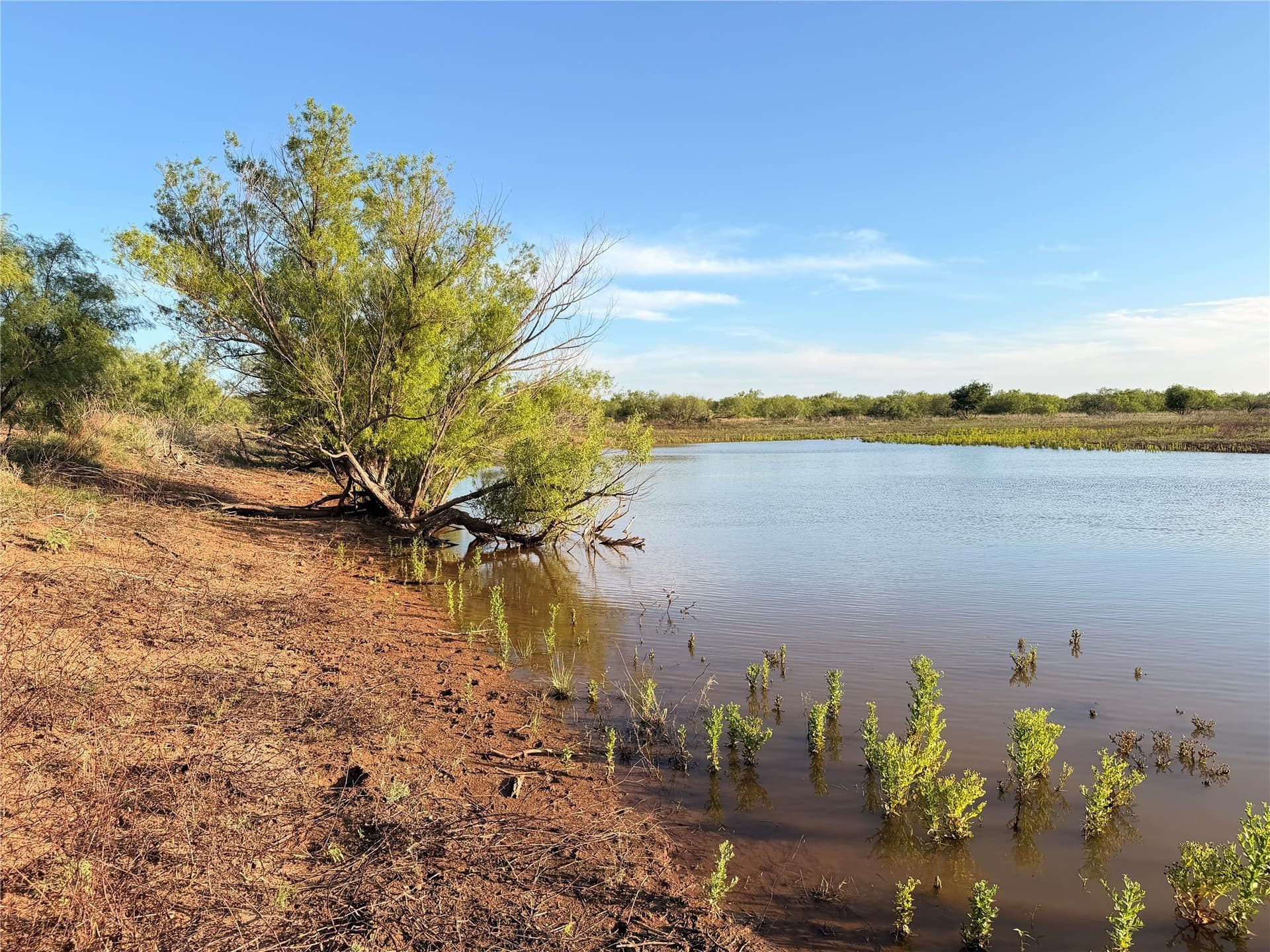 320 acres in Hardeman County - photo 19