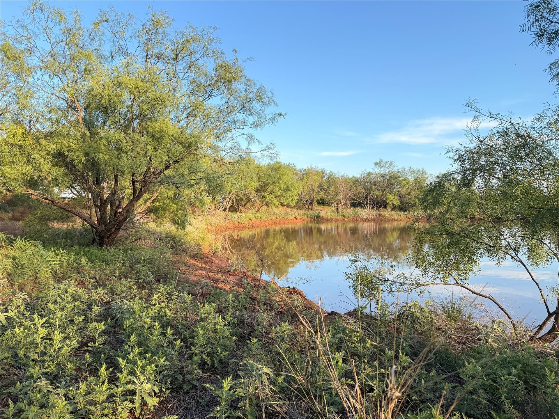 320 acres in Hardeman County