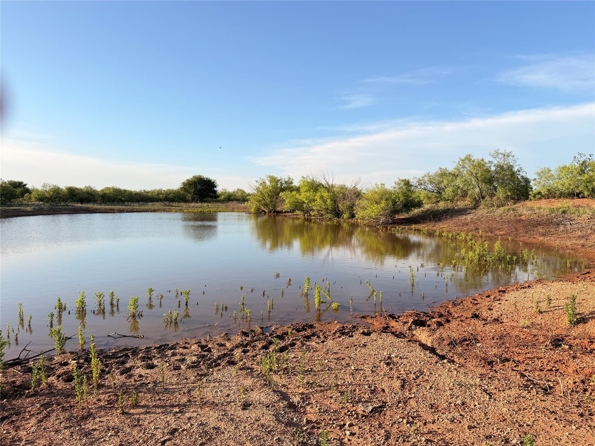 320 acres in Hardeman County - photo 21