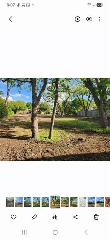 0.37 acres in Dallas County gallery image 4