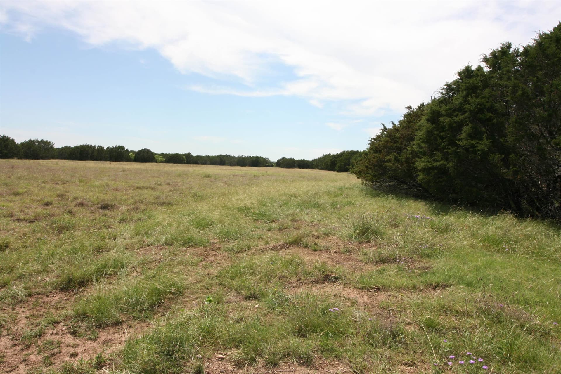 10.25 acres in Burnet County featured view