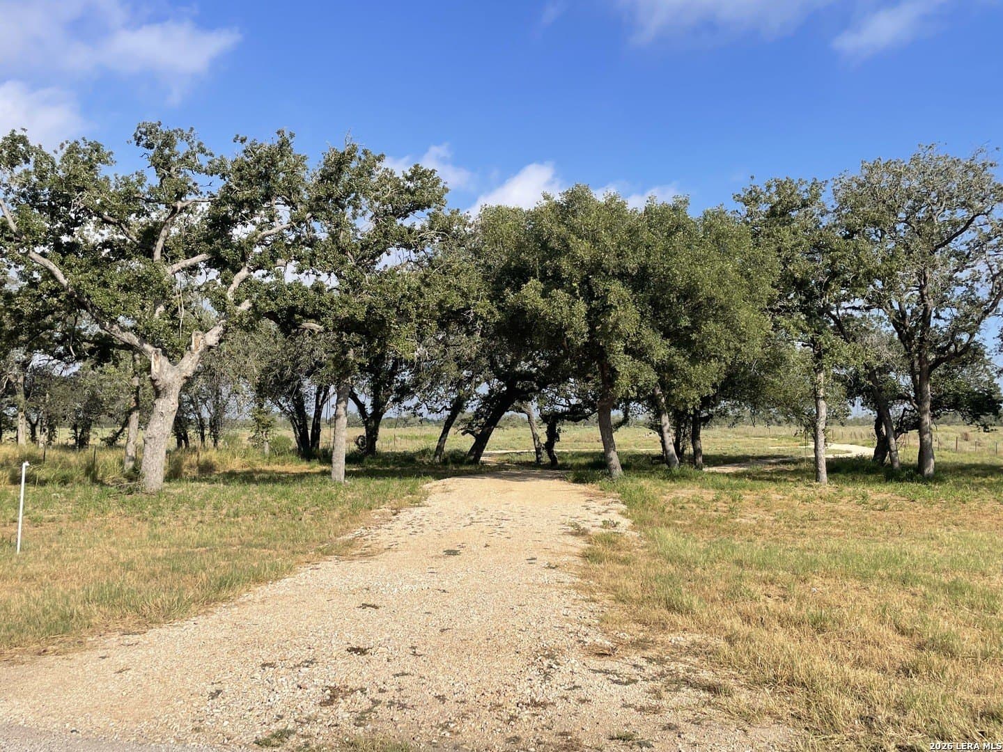 2.5 acres in Wilson County - photo 19