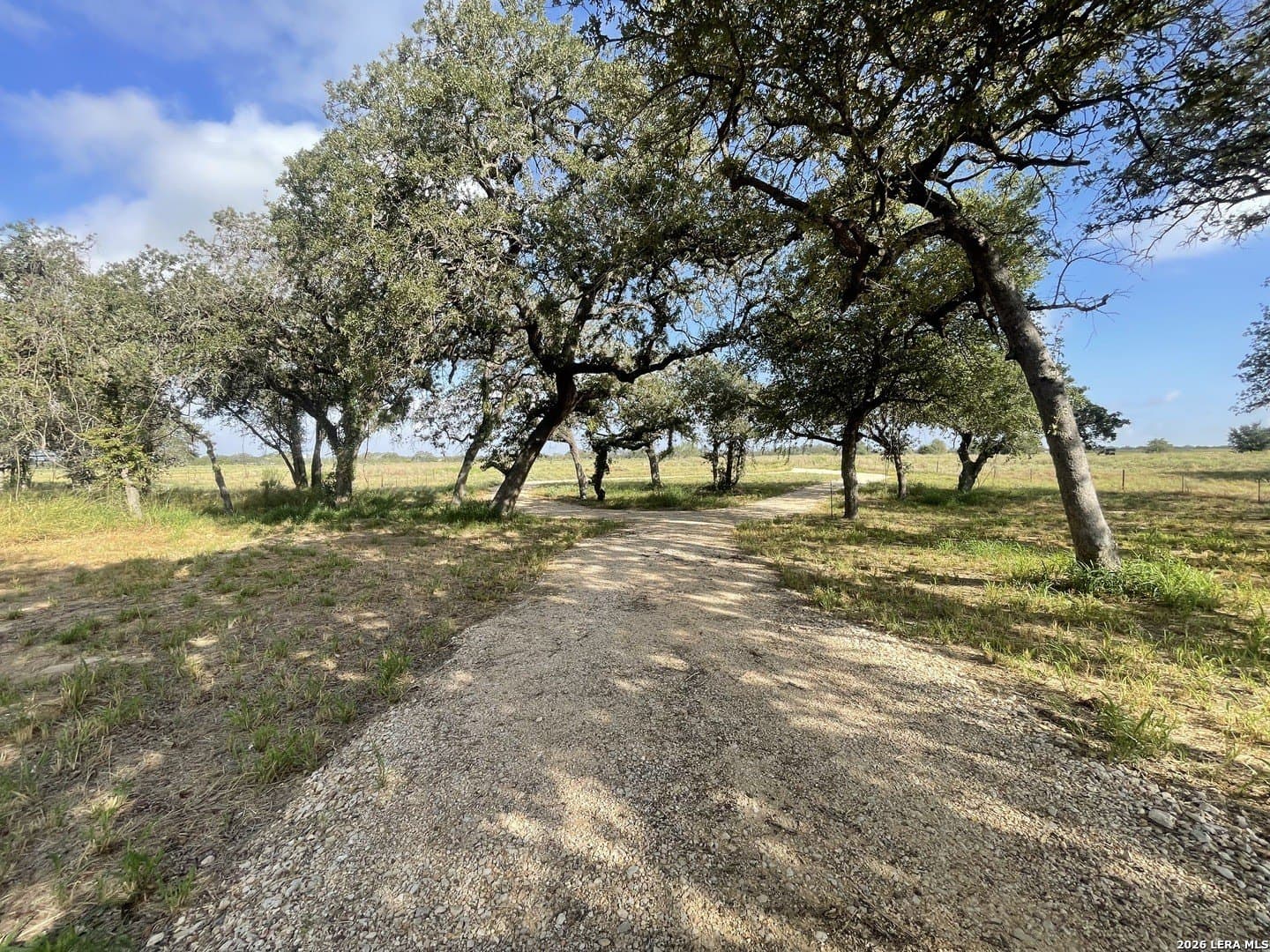 2.5 acres in Wilson County - photo 20
