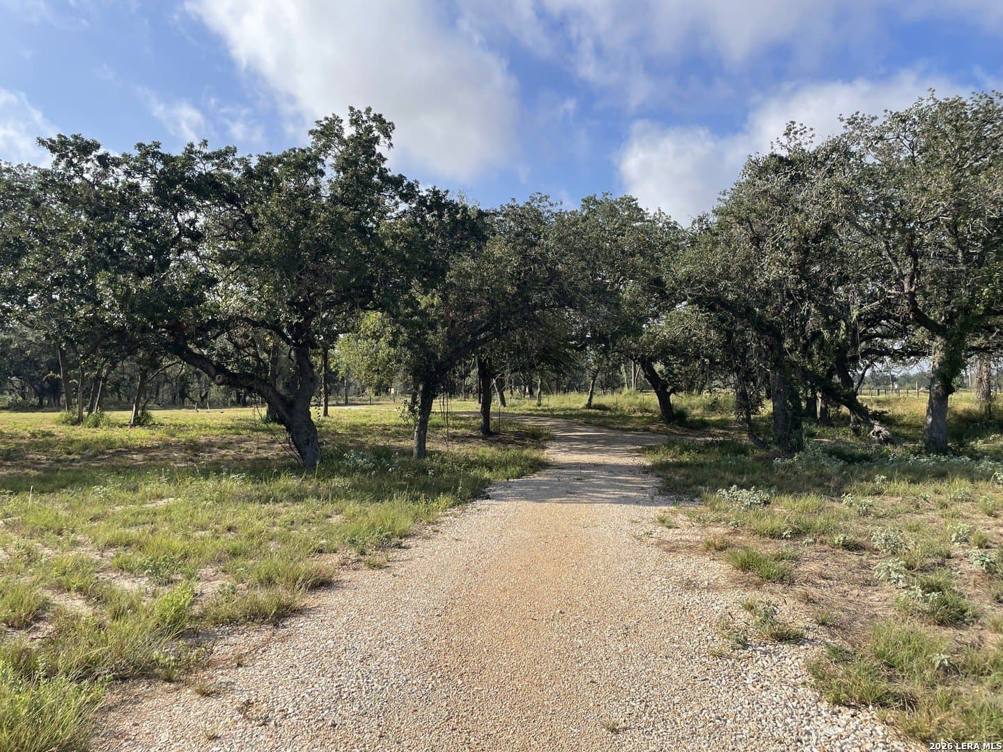 2.5 acres in Wilson County - photo 7