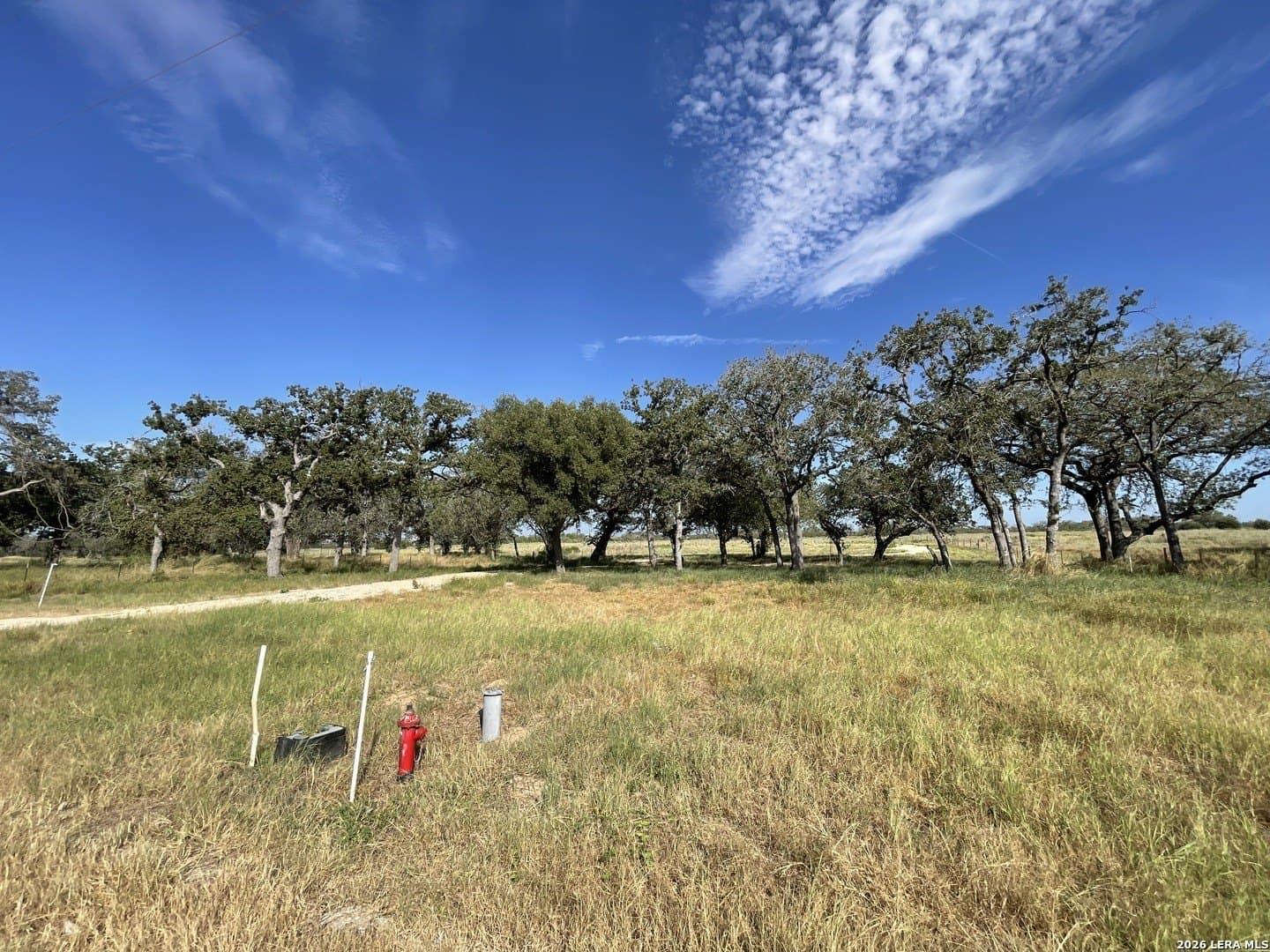 2.5 acres in Wilson County - photo 17