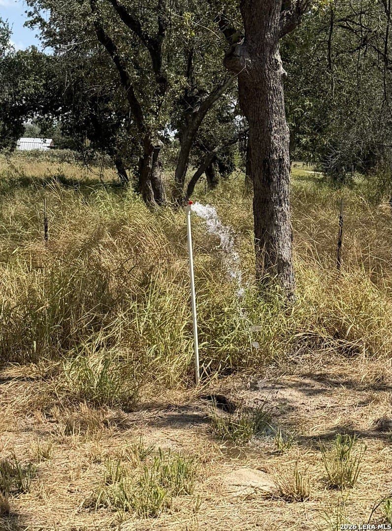 2.5 acres in Wilson County - photo 12