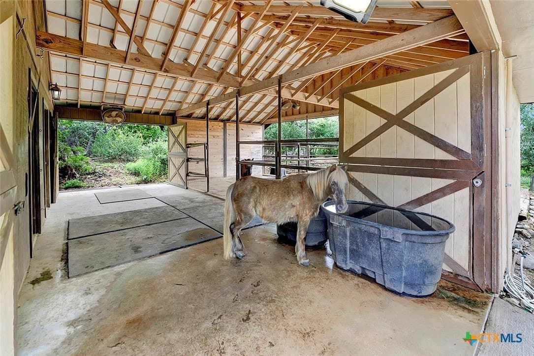 5.01 acres in Comal County gallery image 3