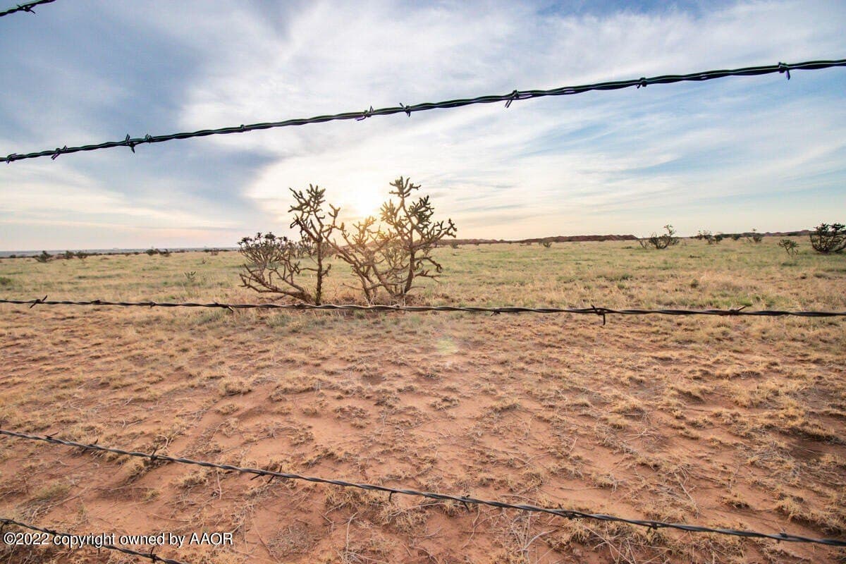 1,280 acres in Randall County - photo 15