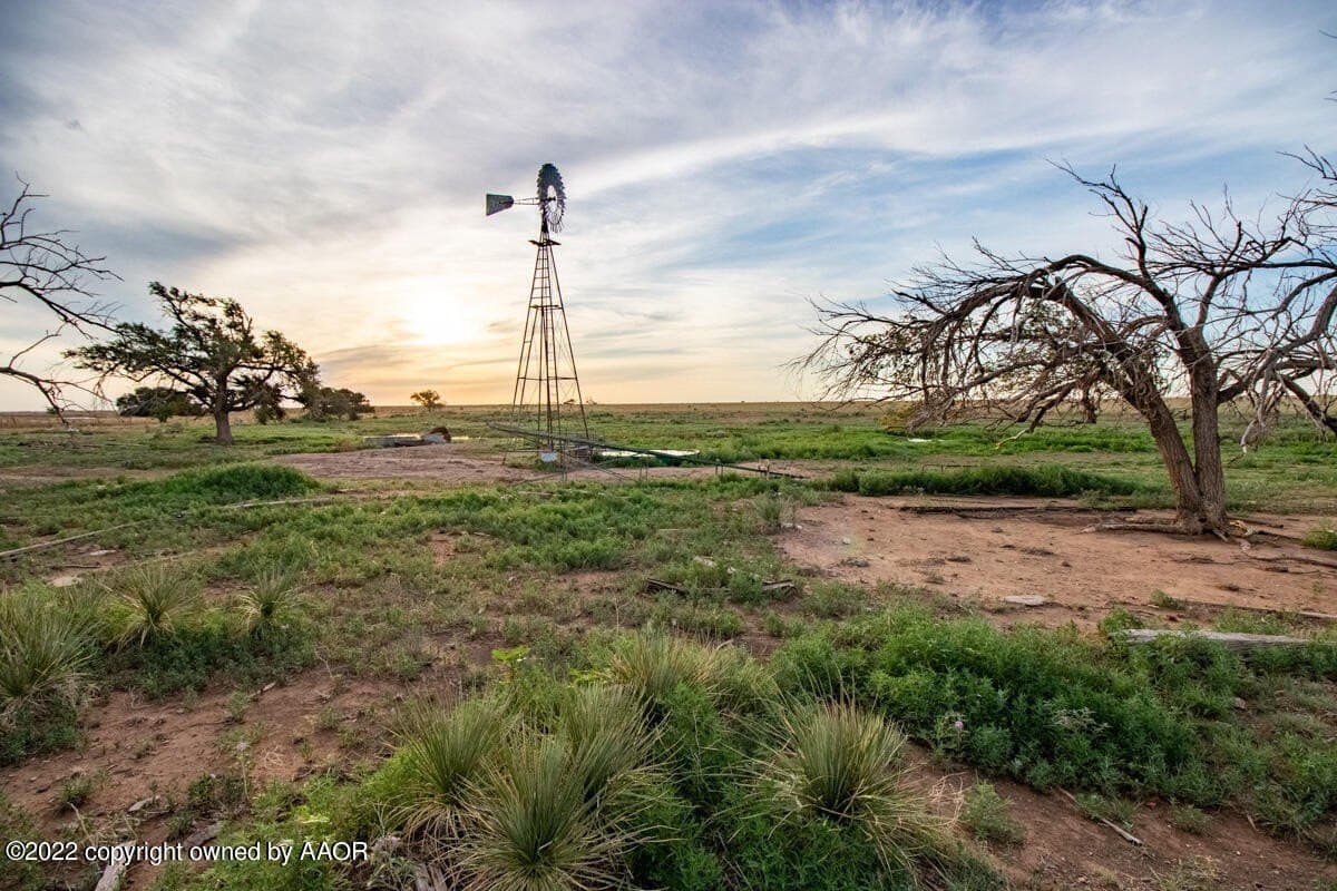 1,280 acres in Randall County - photo 17