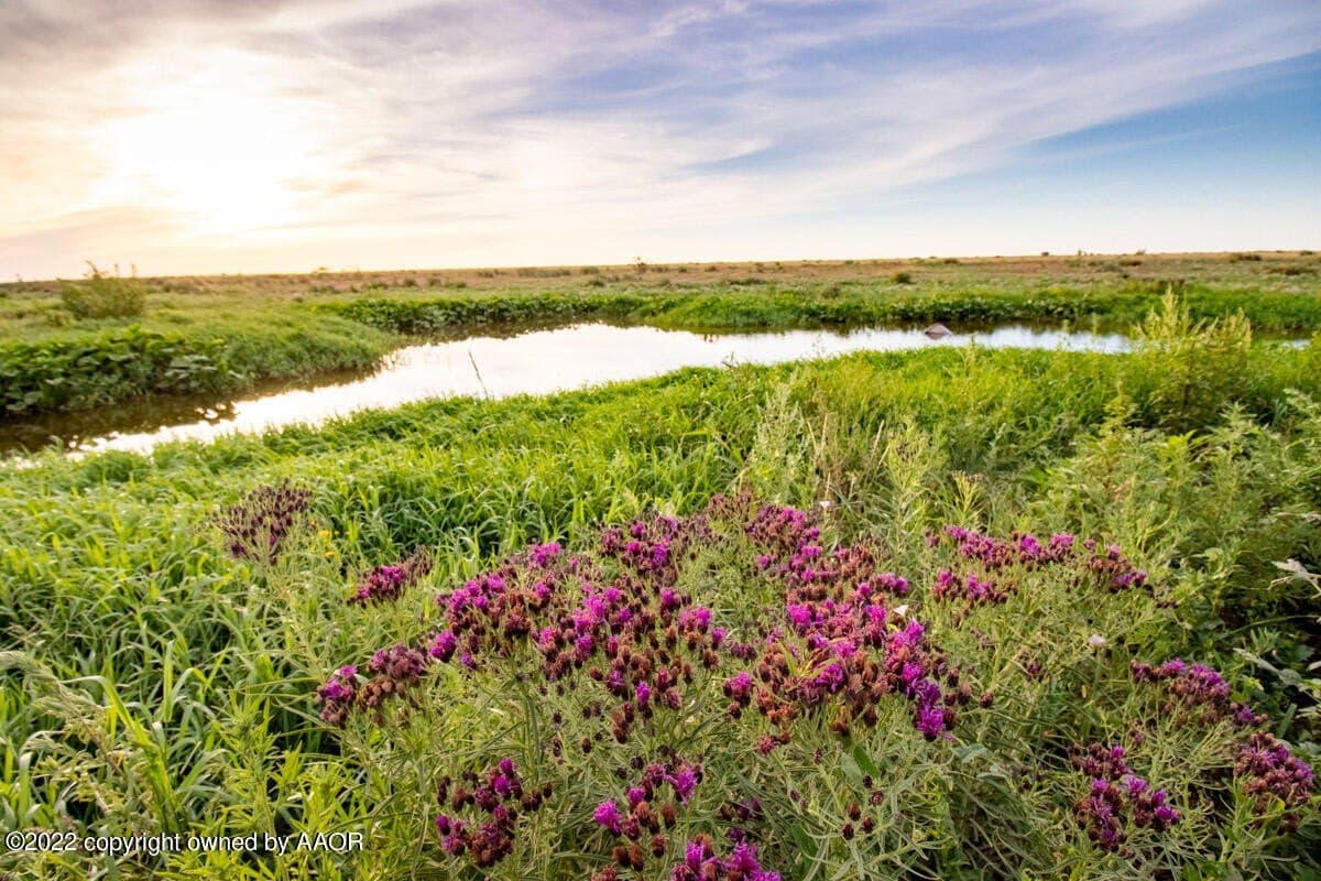 1,280 acres in Randall County - photo 20