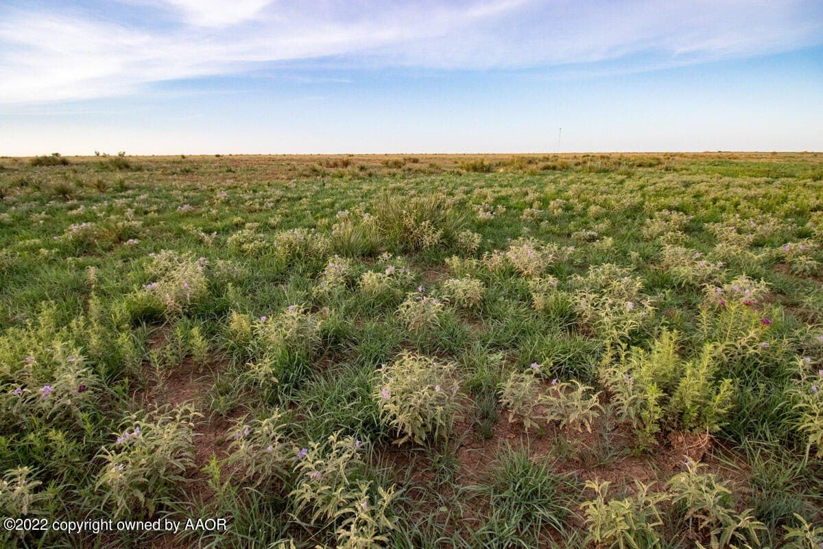 1,280 acres in Randall County - photo 23