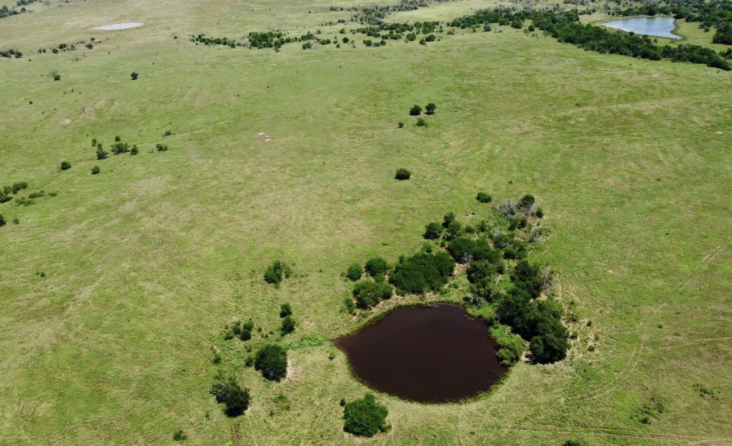 150 acres in Grayson County - photo 7
