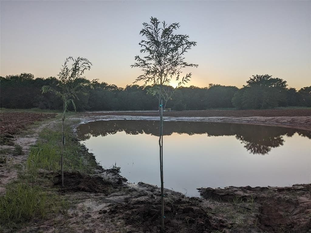 10.01 acres in Wise County