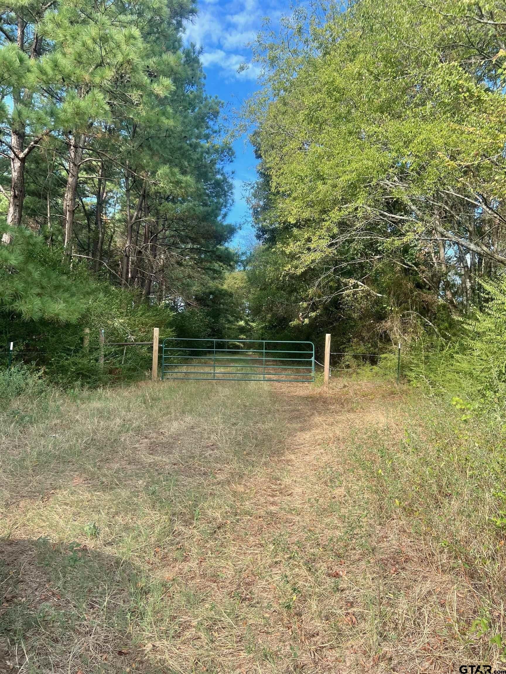 10 acres in Camp County