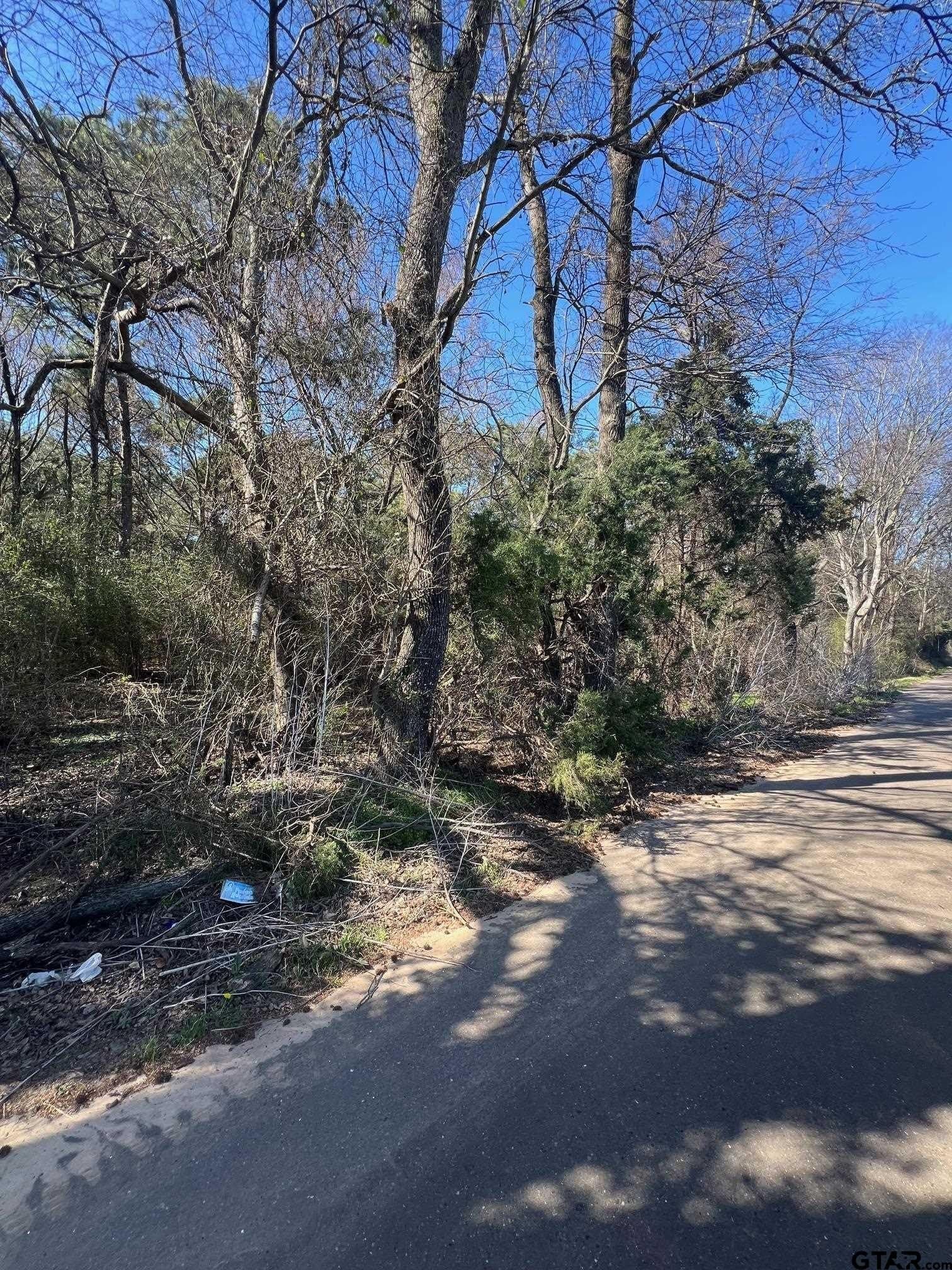 10 acres in Camp County gallery image 2