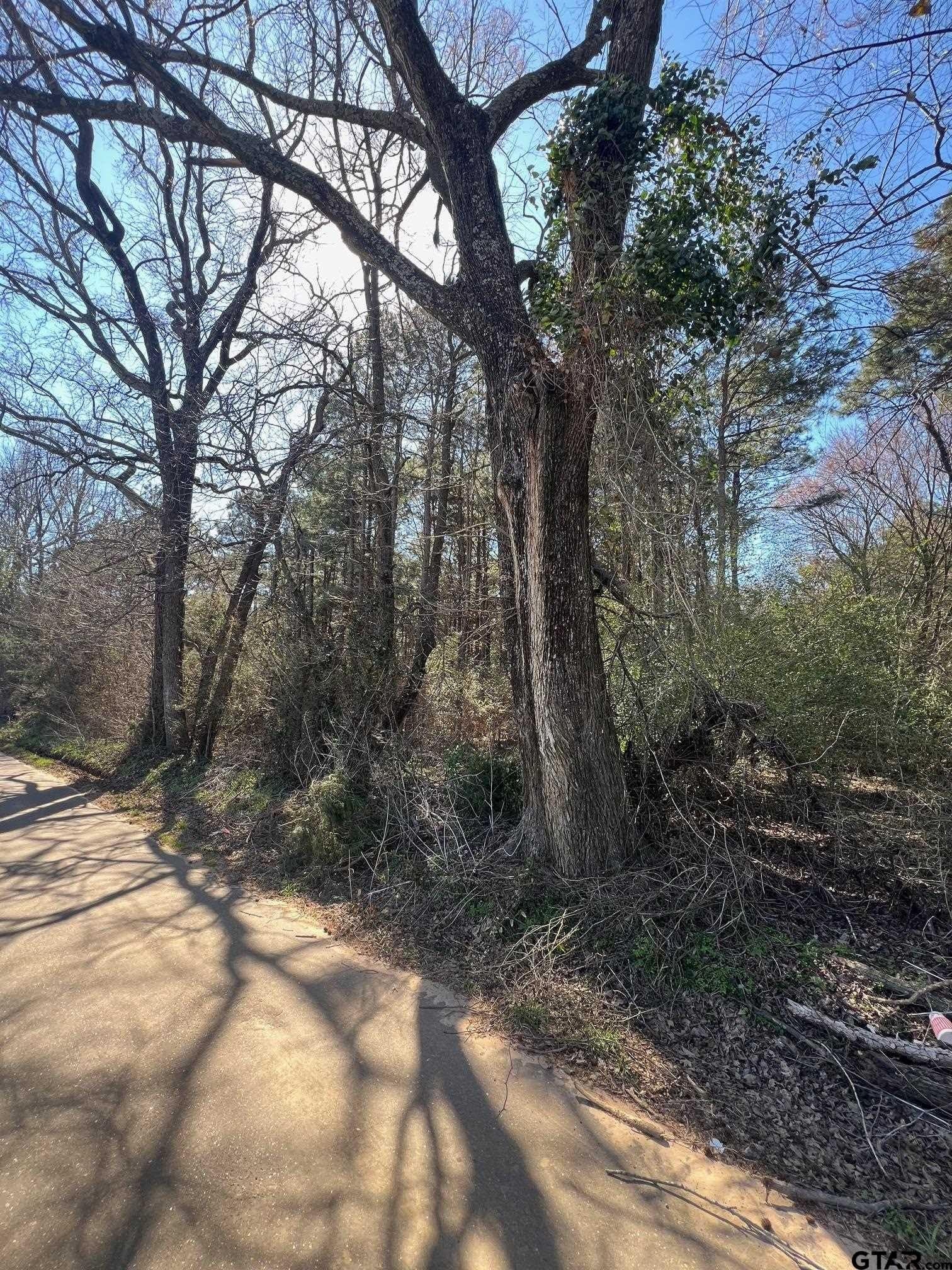 10 acres in Camp County gallery image 3