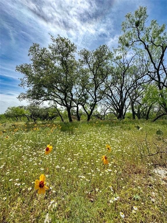 3.02 acres in McCulloch County gallery image 4