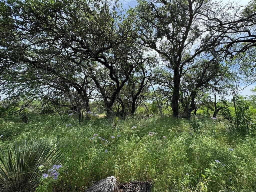 3.02 acres in McCulloch County featured view