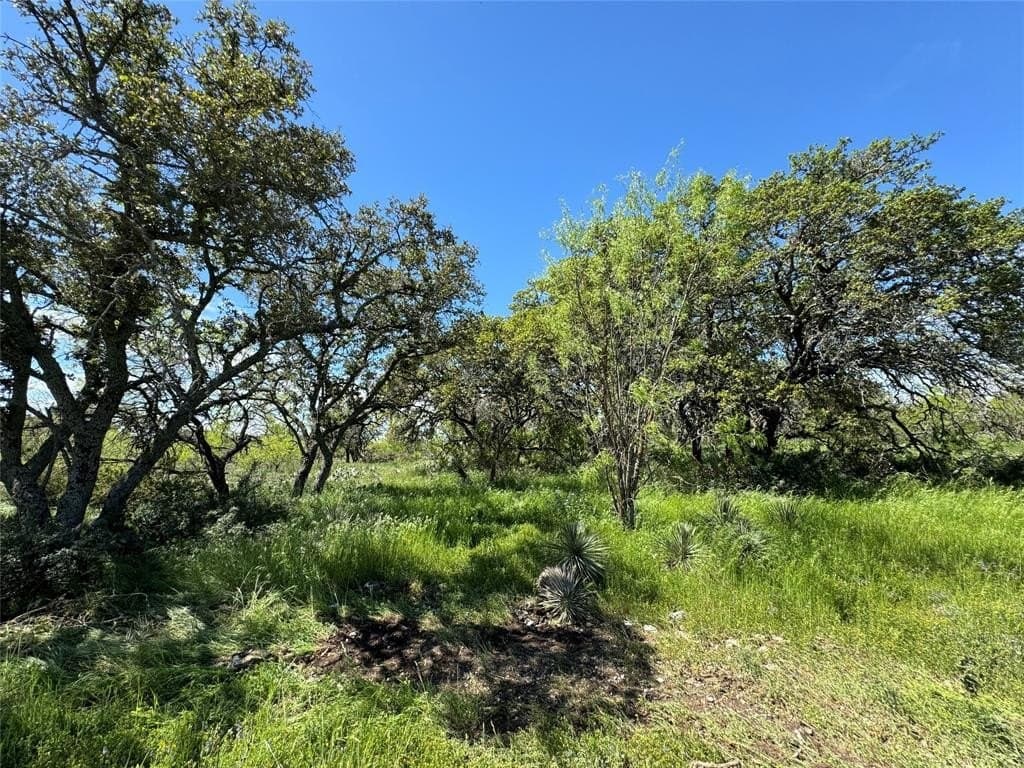 3.02 acres in McCulloch County gallery image 3