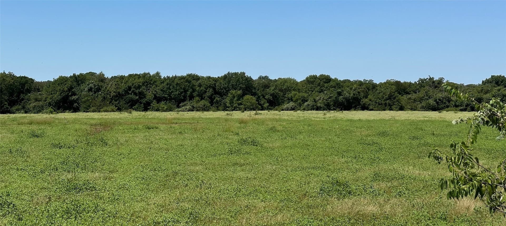 90.4 acres in Johnson County featured view
