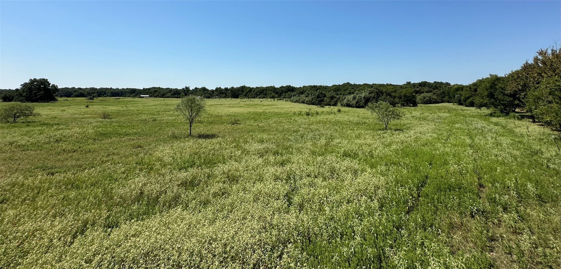 90.4 acres in Johnson County gallery image 4