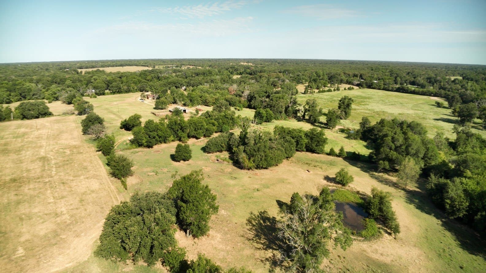 227 acres in Hopkins County - photo 10