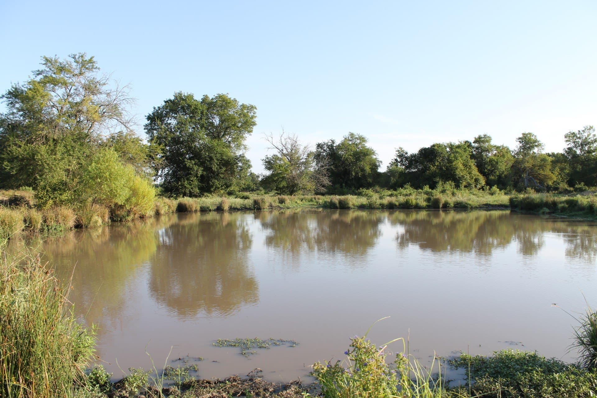 227 acres in Hopkins County - photo 21
