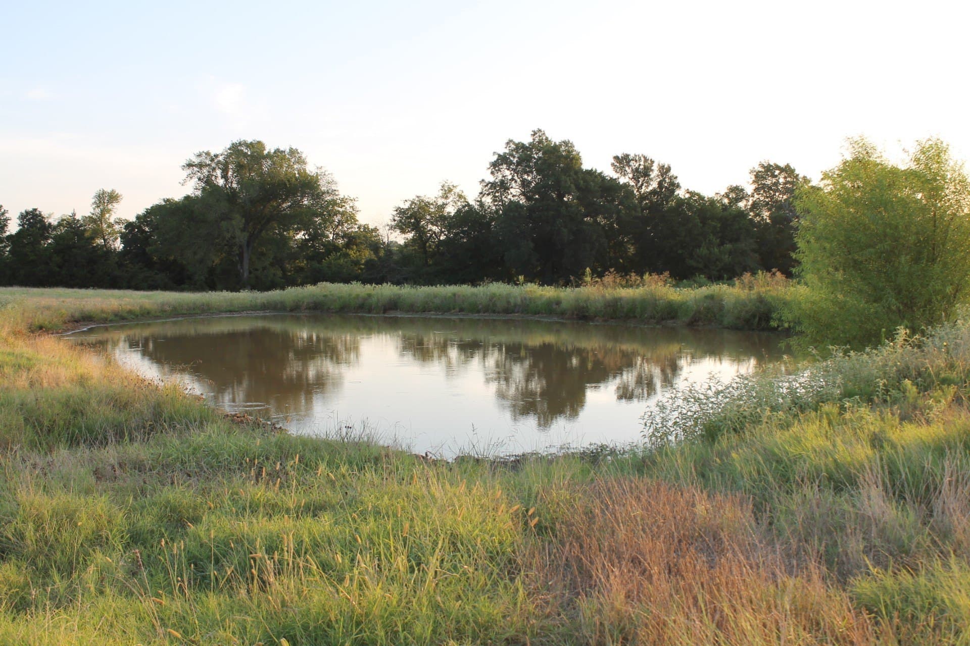 227 acres in Hopkins County - photo 15