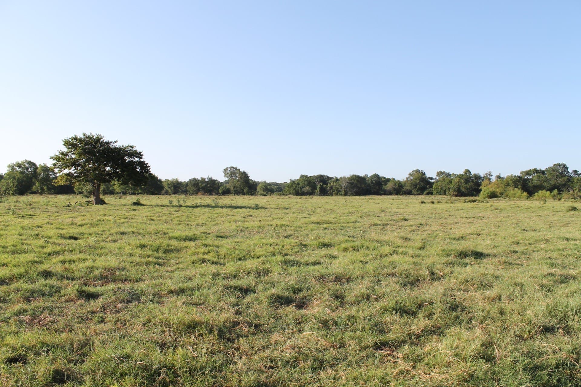 227 acres in Hopkins County - photo 25
