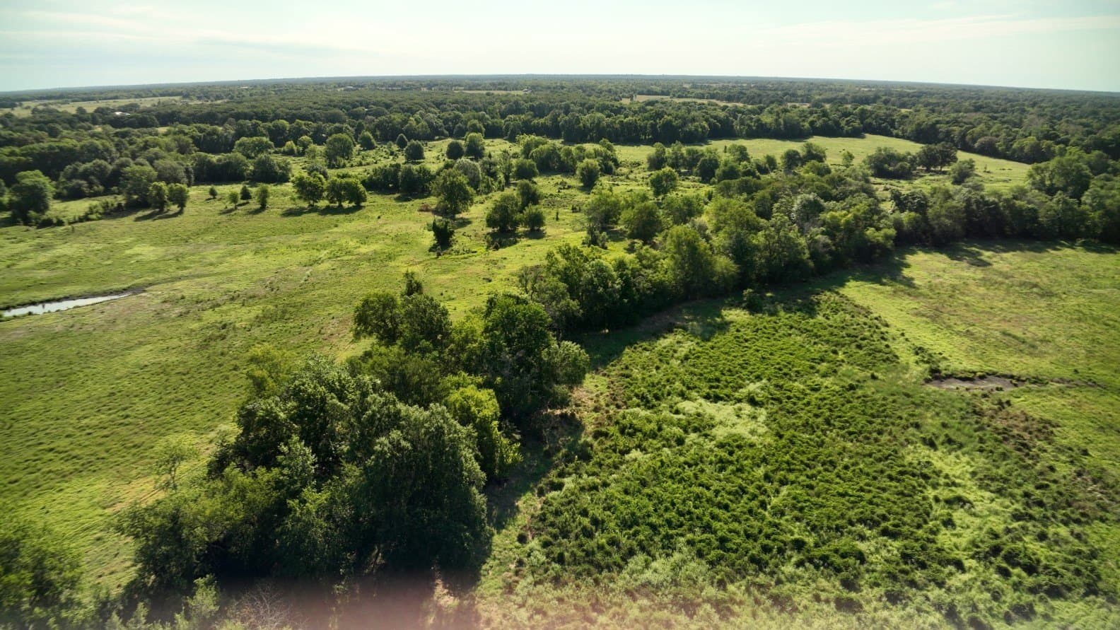 227 acres in Hopkins County - photo 11