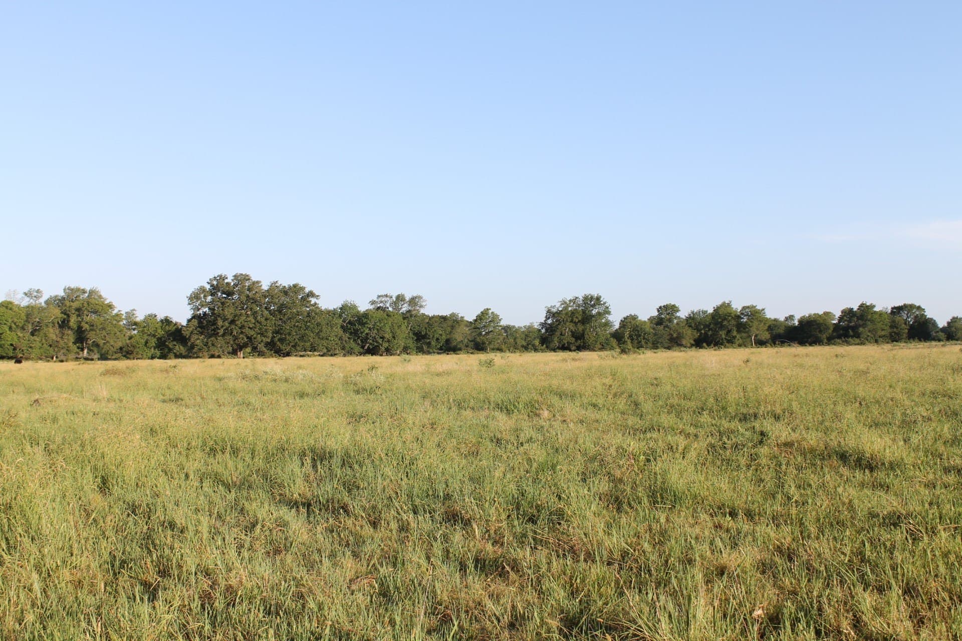 227 acres in Hopkins County - photo 20
