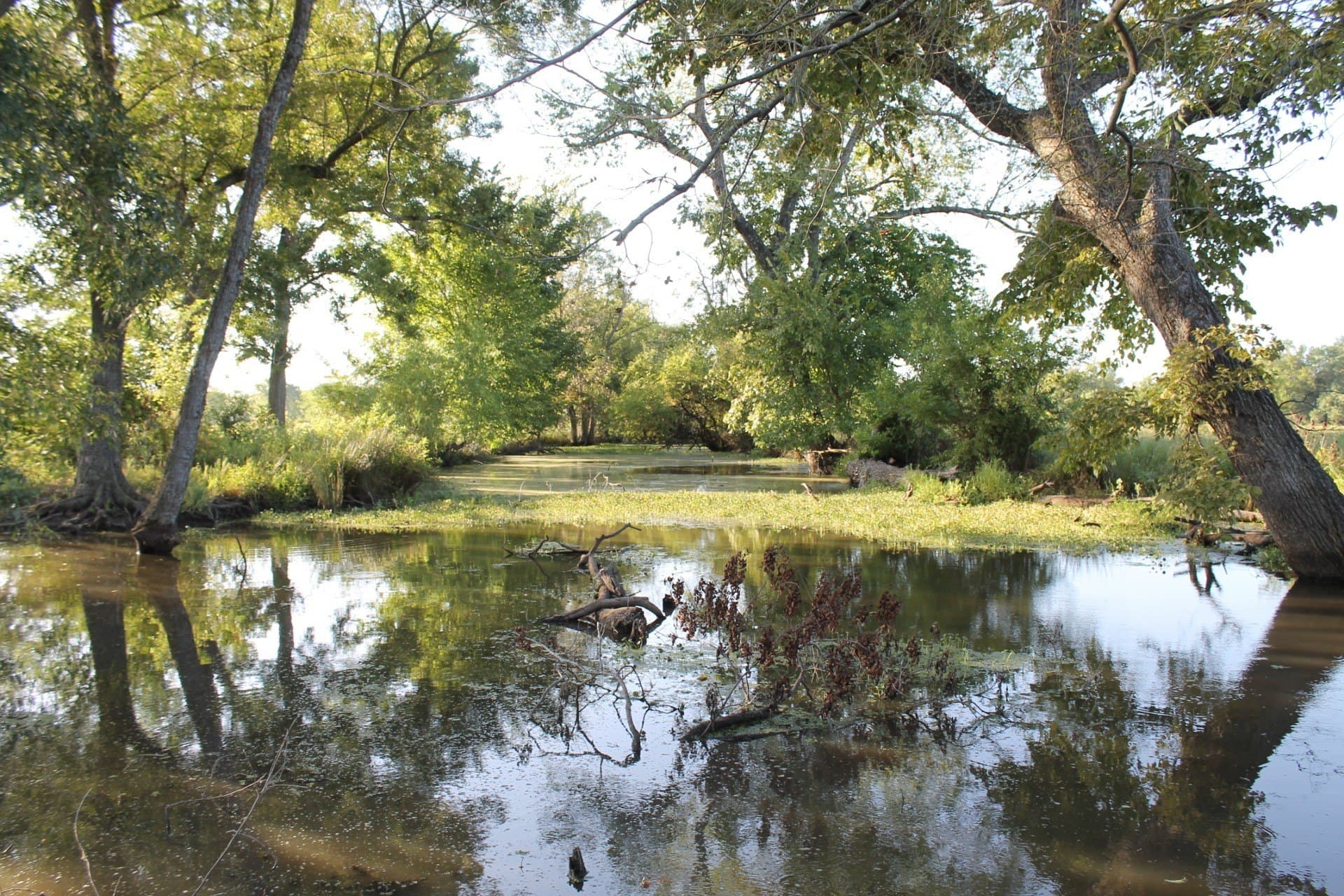 227 acres in Hopkins County - photo 24