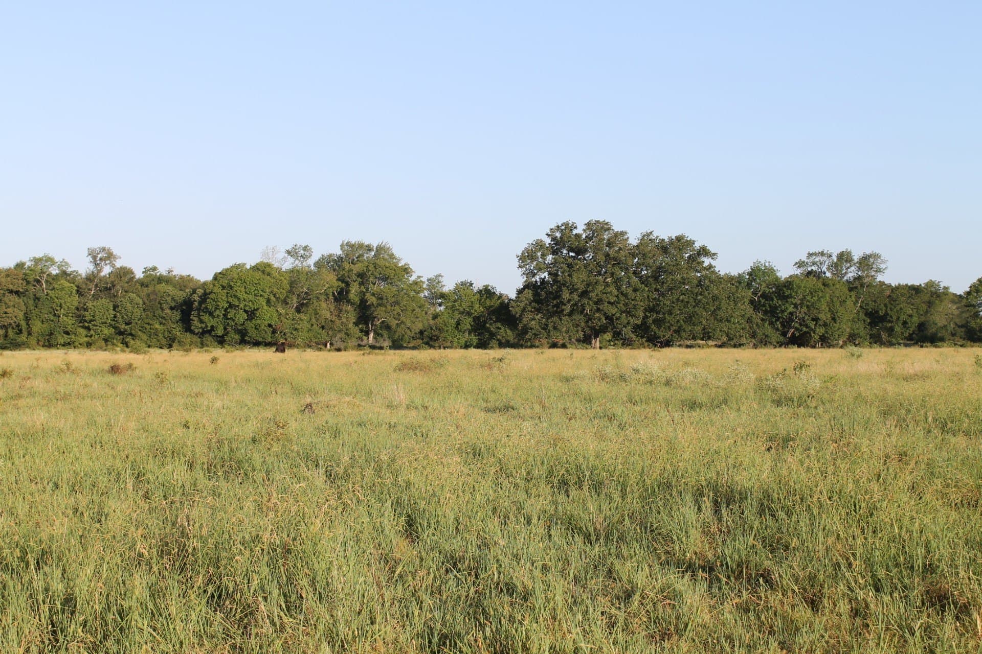 227 acres in Hopkins County - photo 18