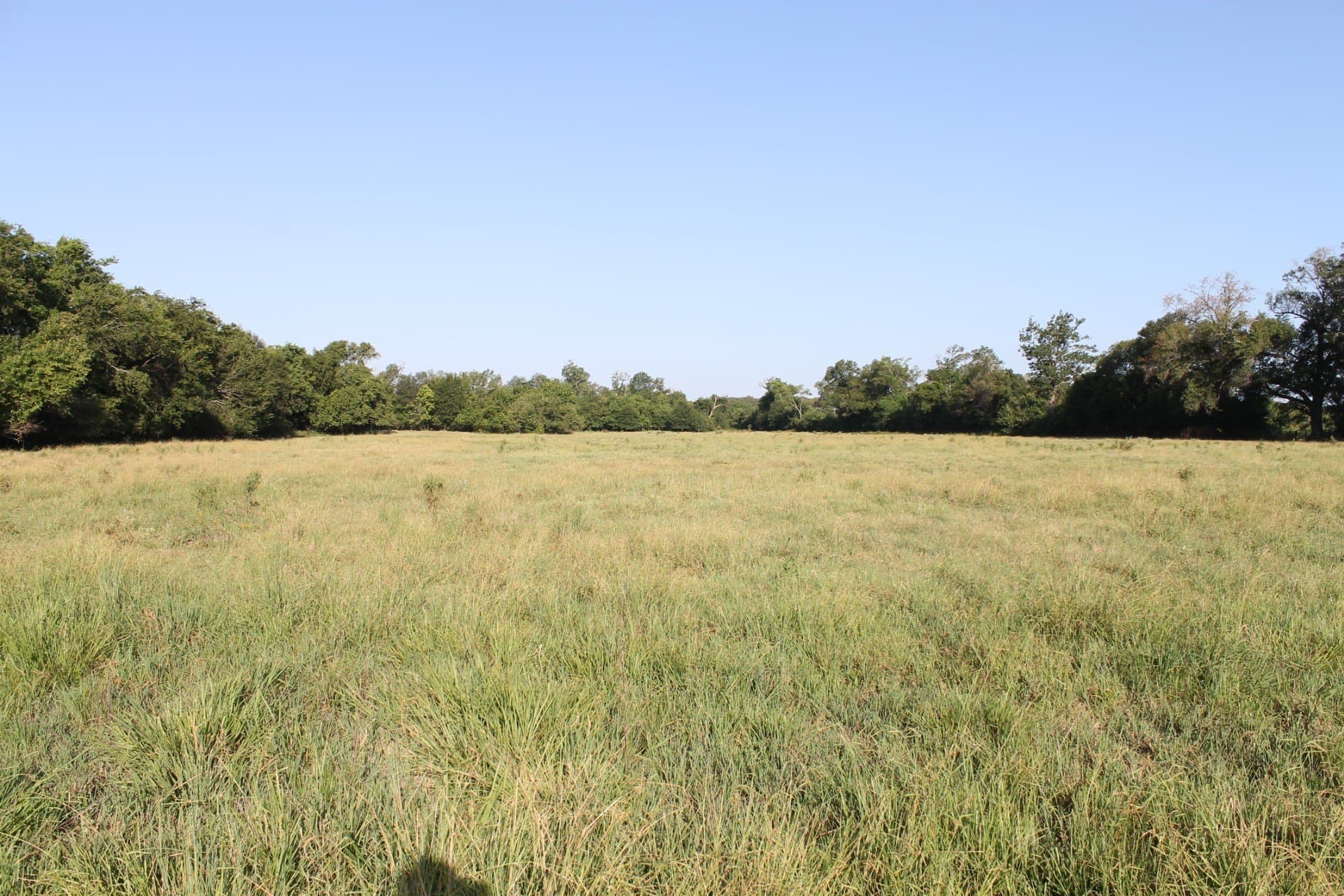 227 acres in Hopkins County - photo 27