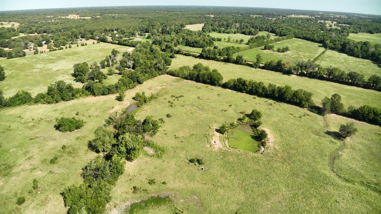 227 acres in Hopkins County - photo 13