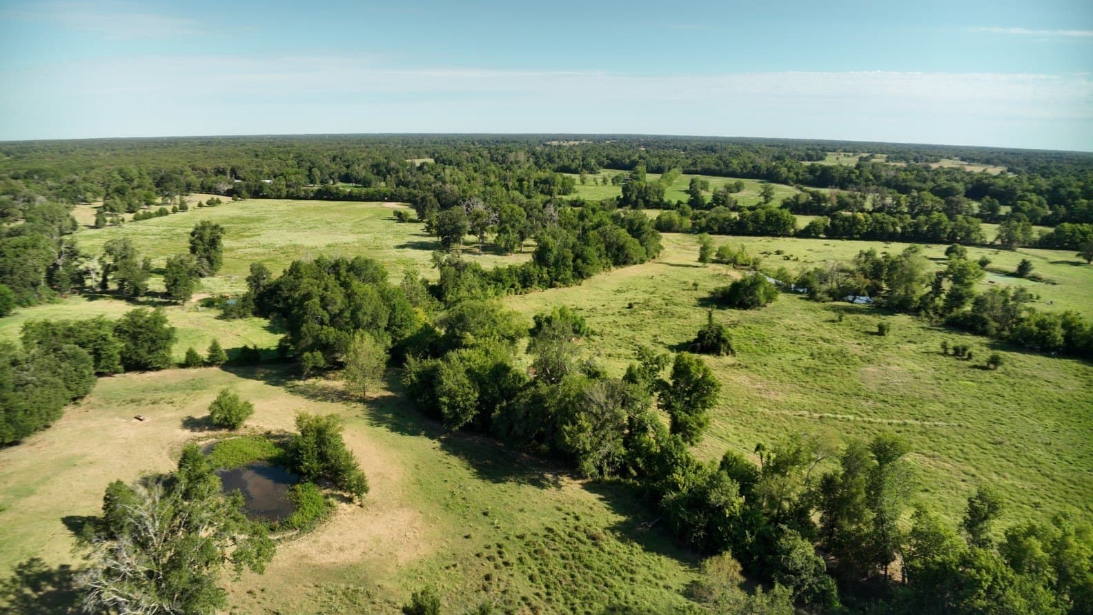 227 acres in Hopkins County - photo 9
