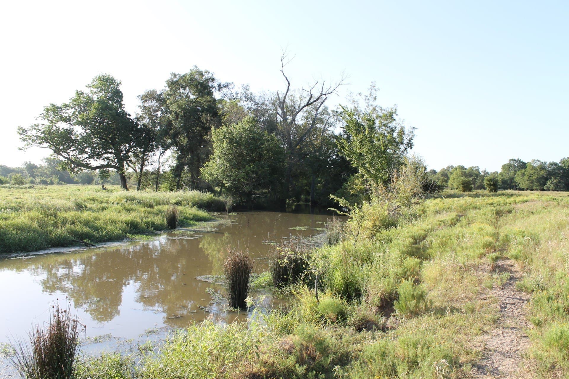 227 acres in Hopkins County - photo 23